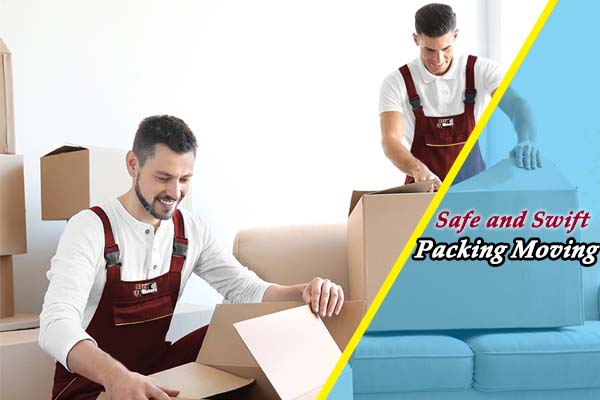 Vikrant Packers and Movers